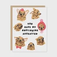 Unblinking Adoration Chihuahua Greeting Card